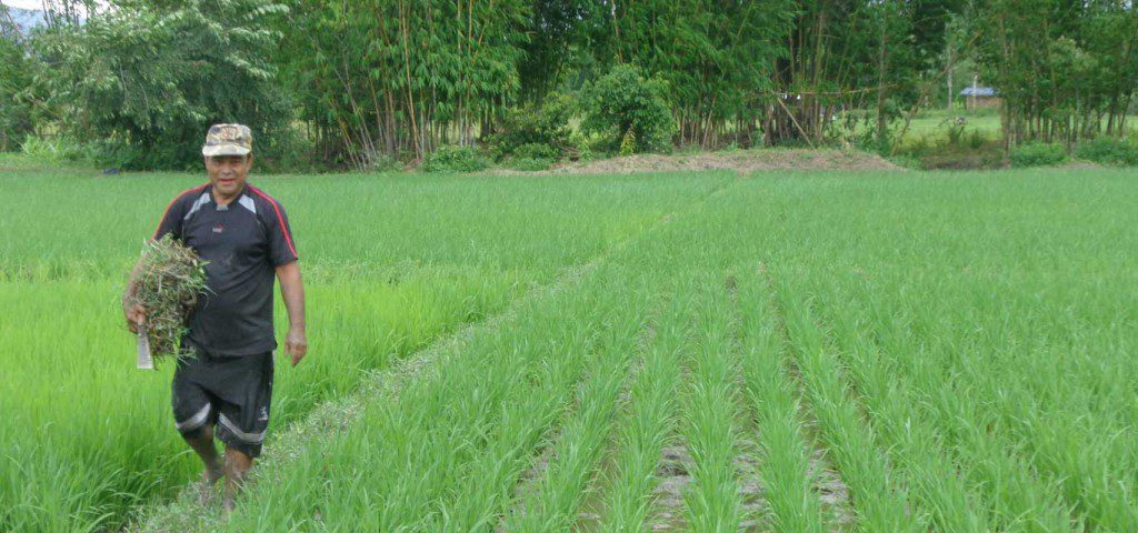 Rural Women Upliftment Society (RWUS) Manipur