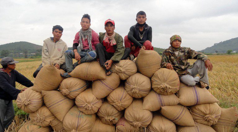 Young Farmers With Their Paddy Production