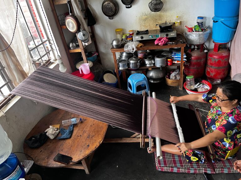Empowering 1,000 Rural Women IDPs: RWUS Livelihood Project Update